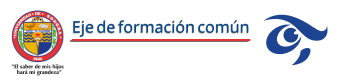 Eje Comun